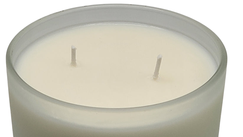 Apple Birch Bliss Dule Wick Candle